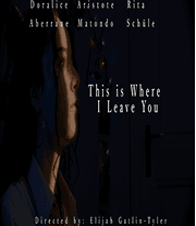DBIMA student film poster 15